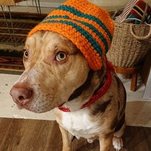 Meet your Posher, Vince